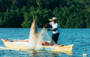 Pescador en un bote lanzando su red en un río, ideal para mostrar cómo se complementa con un sonar para peces en la pesca artesanal.
