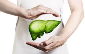 Ilustración simbólica de un hígado saludable representado por una hoja verde, destacando el cuidado natural para la grasa del hígado